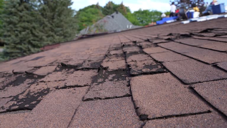 Best Commercial Roofing Services  in Salinas, CA