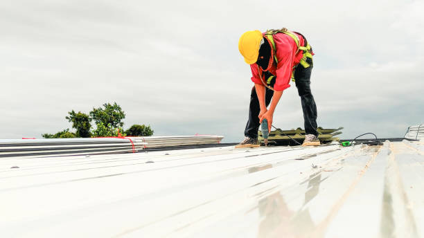 Best Roof Insulation Installation  in Salinas, CA