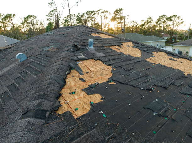 Best Gutter Installation and Repair  in Salinas, CA