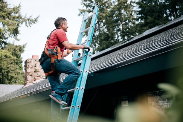 Best Skylight Installation and Repair  in Salinas, CA