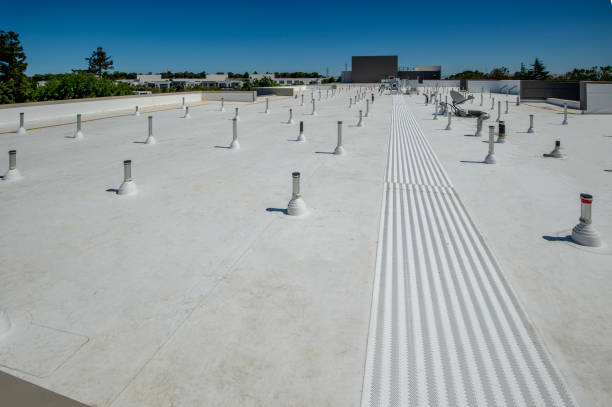 Best Skylight Installation and Repair  in Salinas, CA